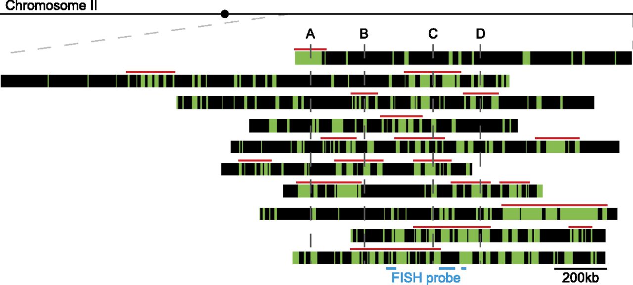 391fig3