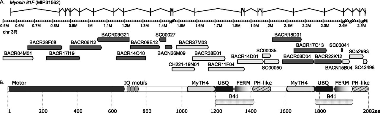 445fig3