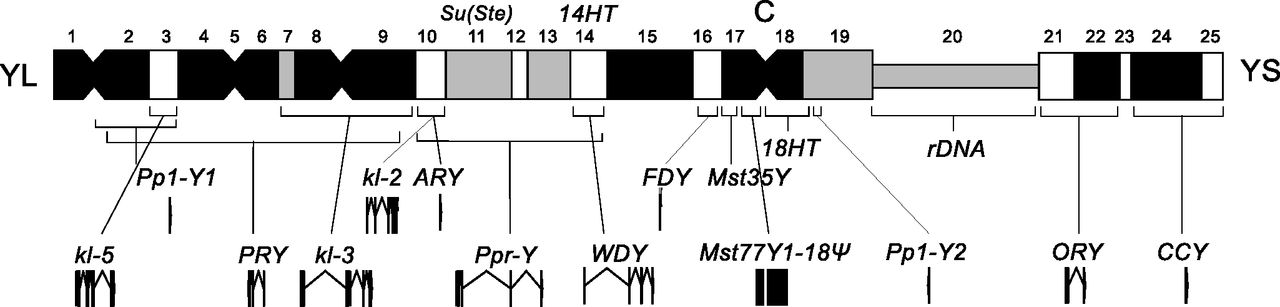 445fig4