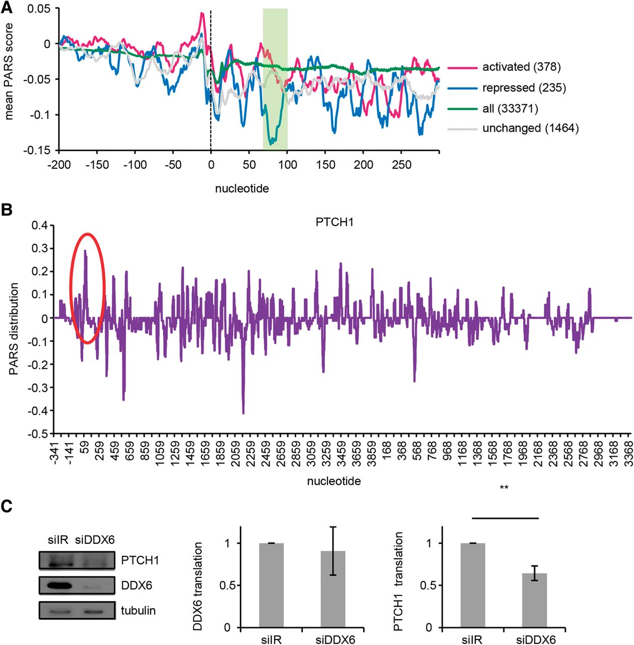 95f06