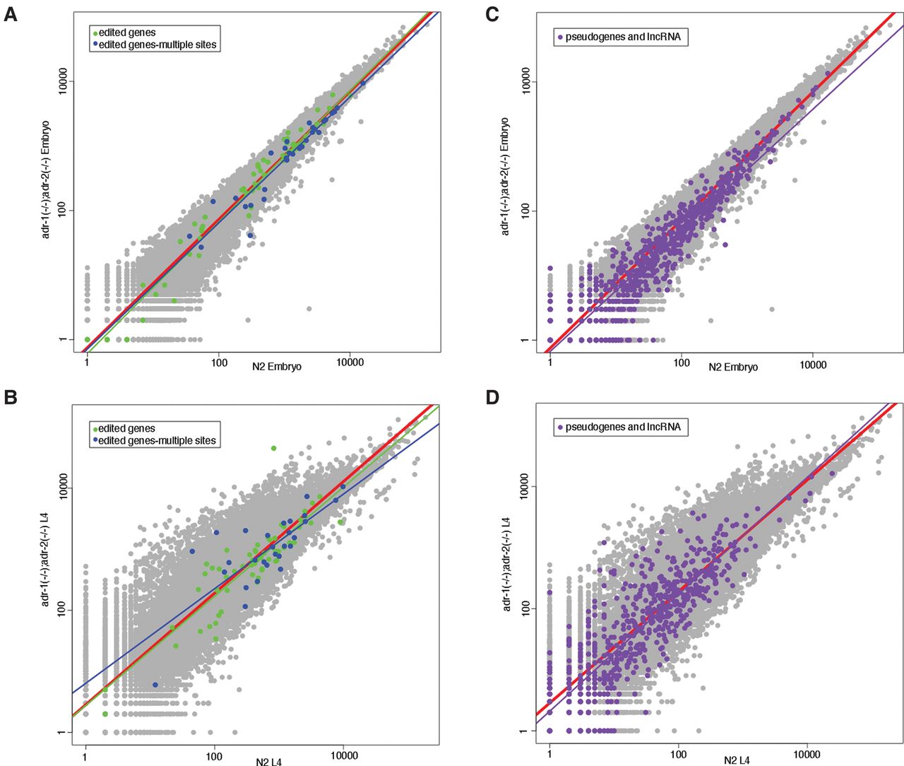 462f04