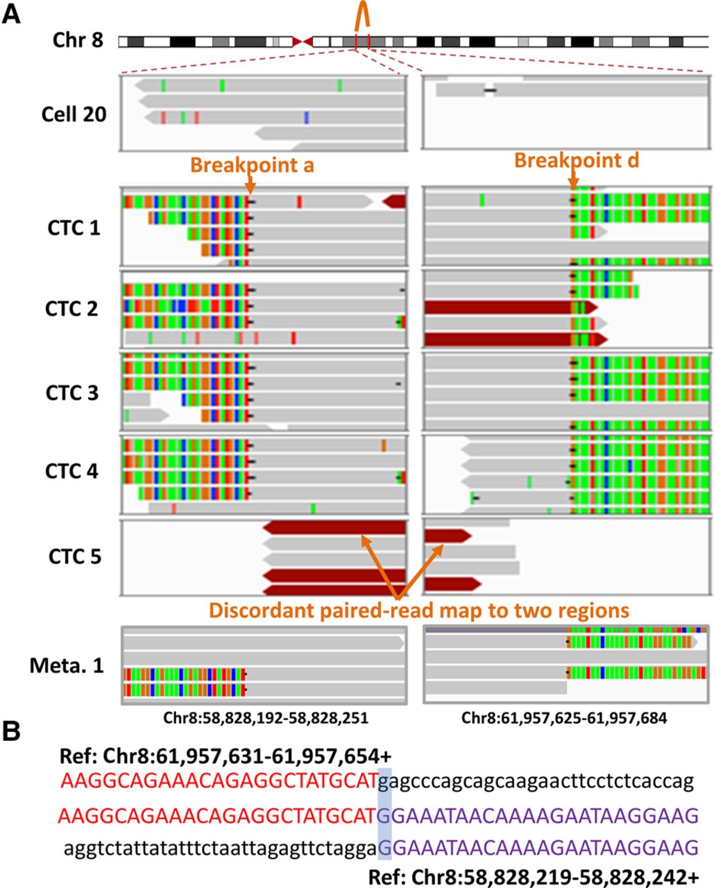 1312f03
