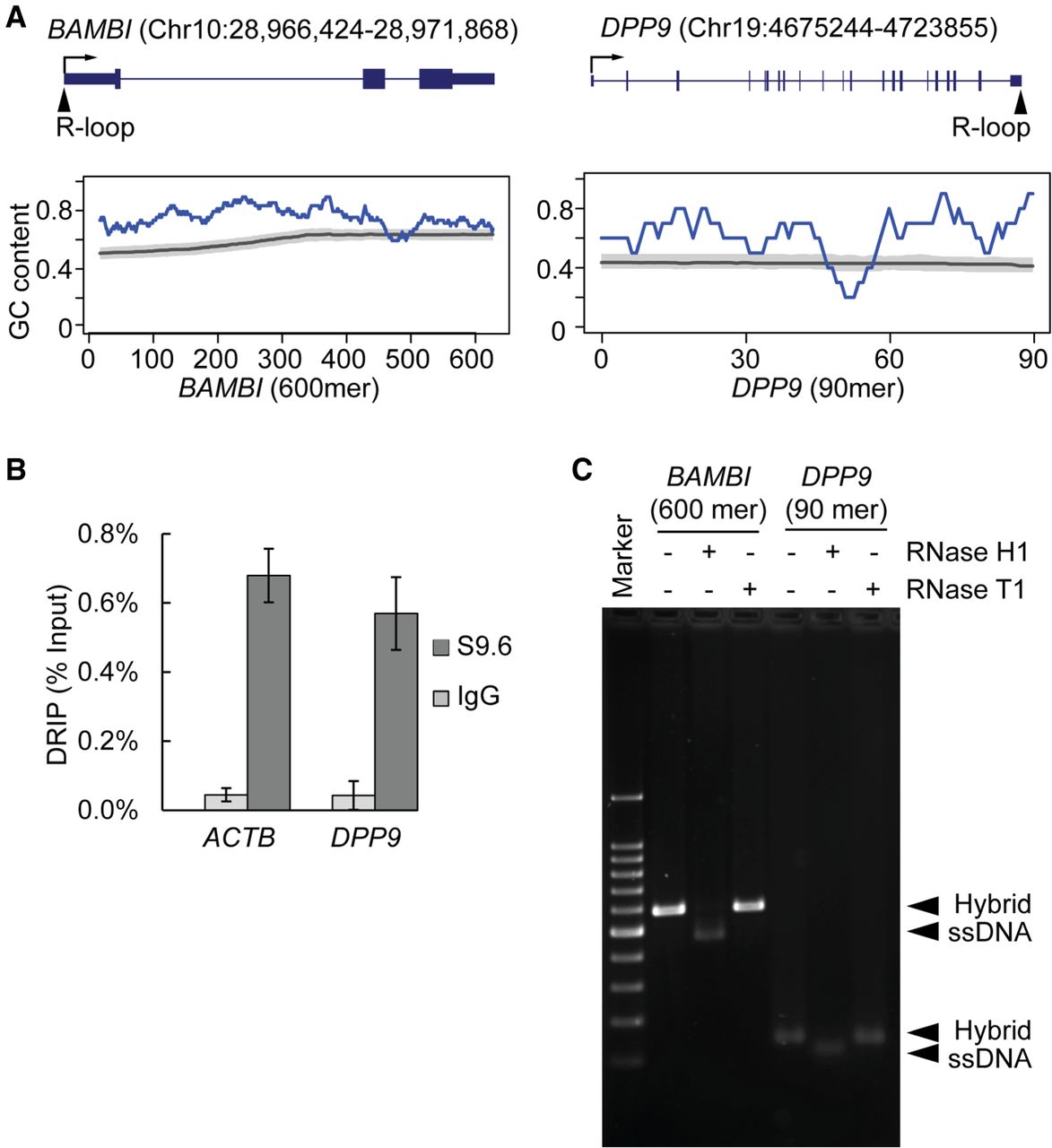 1405f01