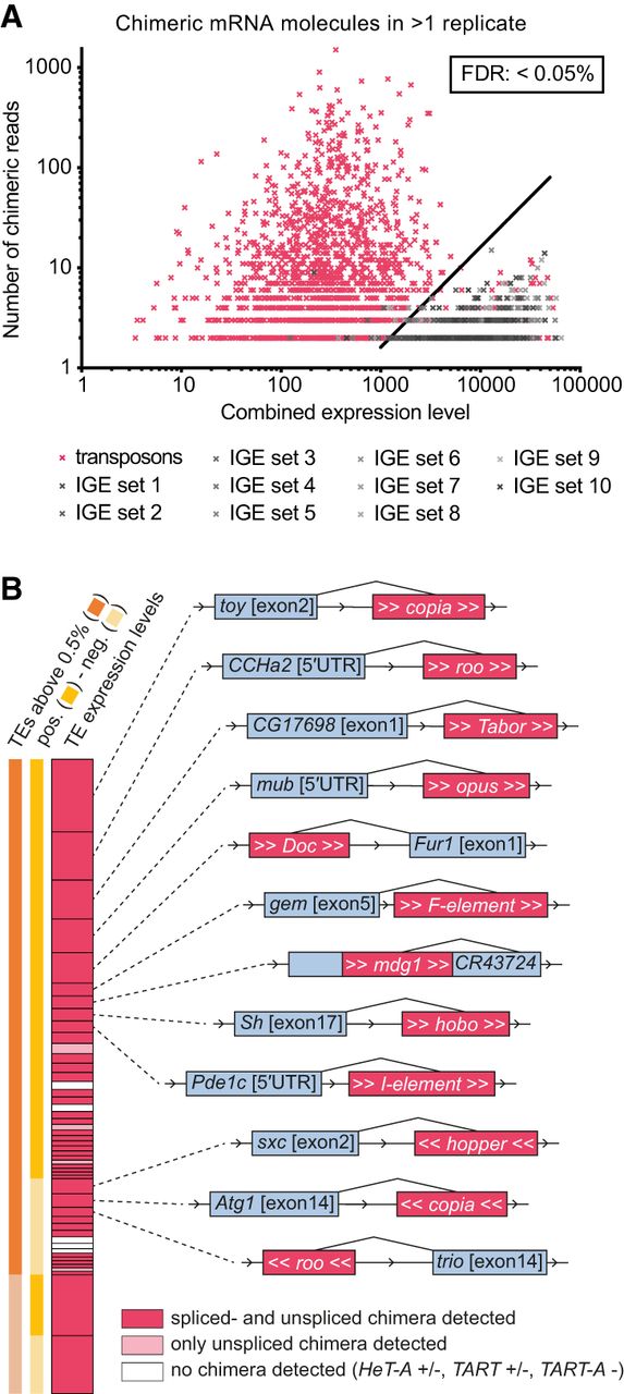 1559f03