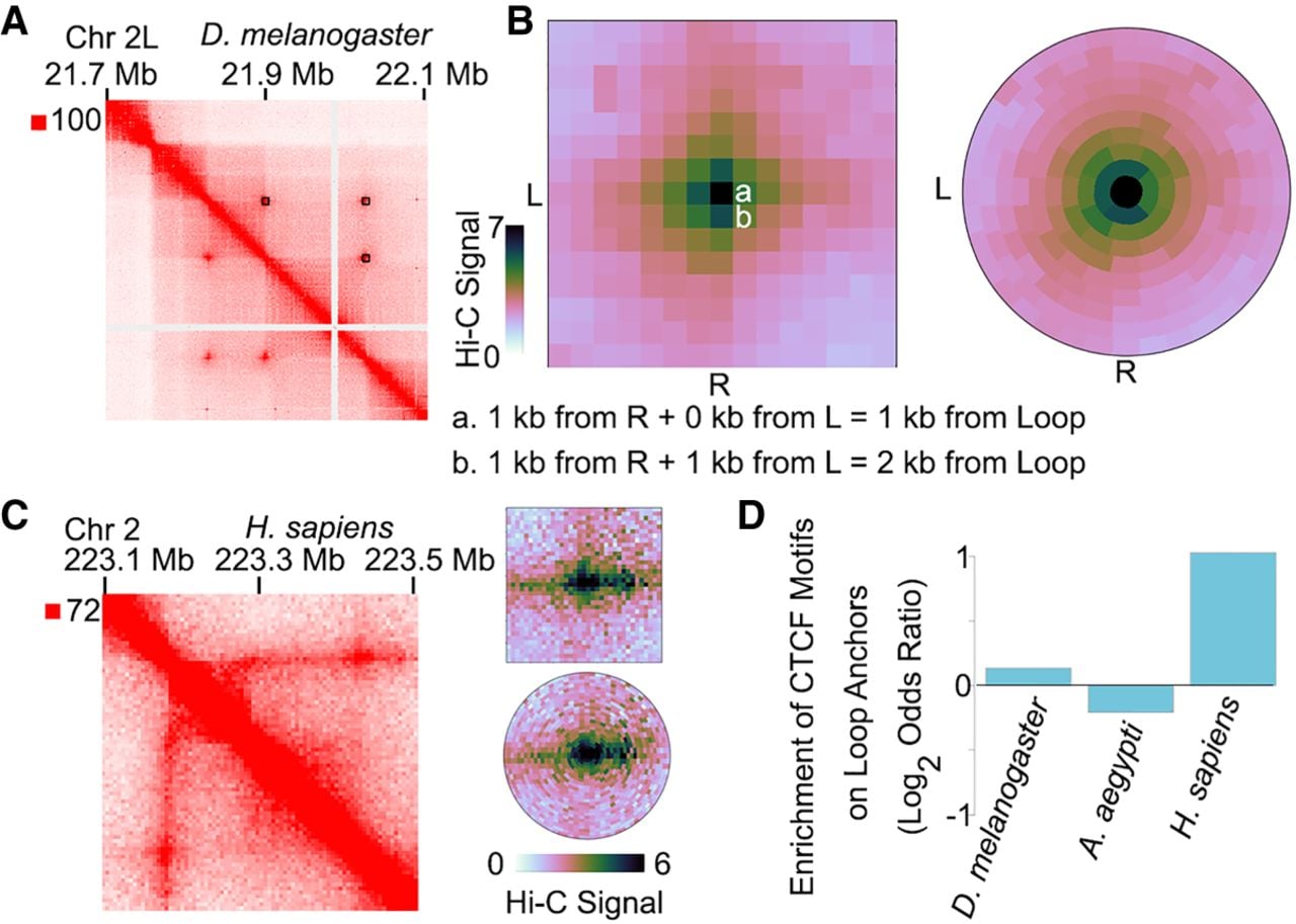 447f03