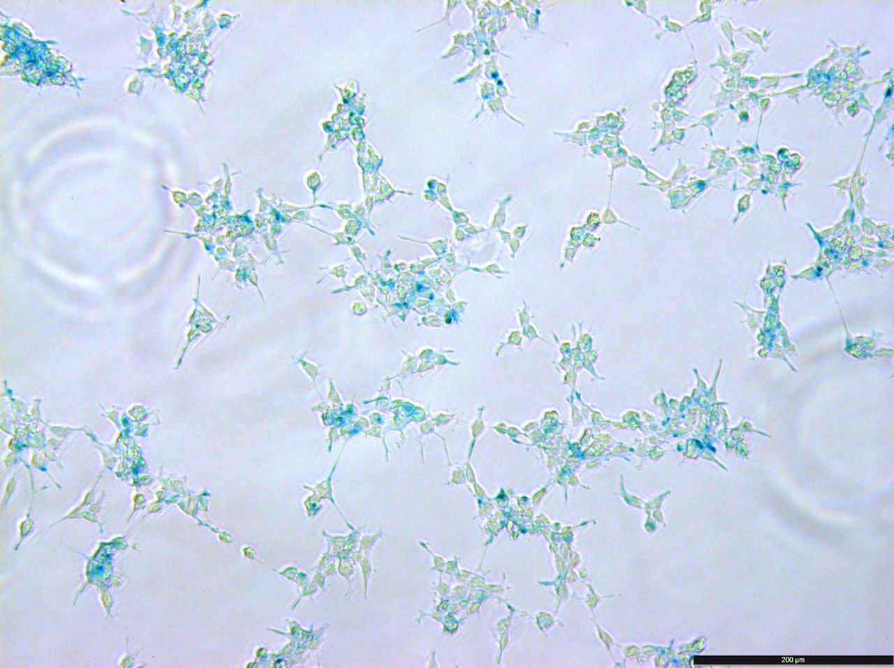 1376-1f03