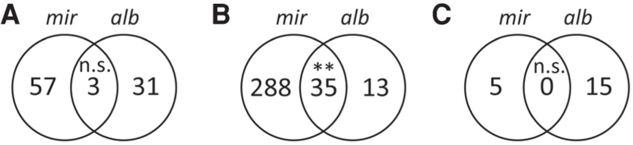 2069f07