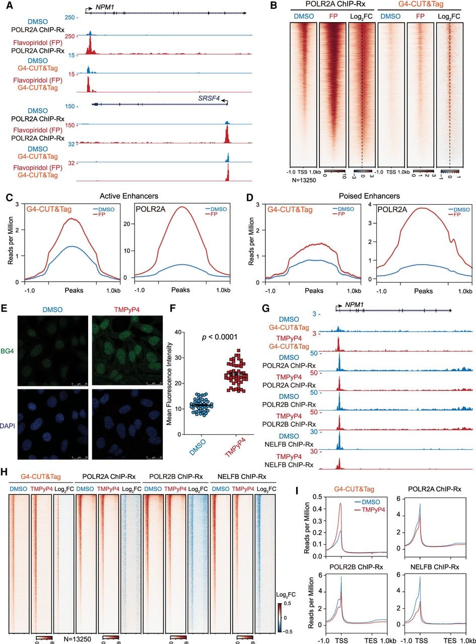 1546f03