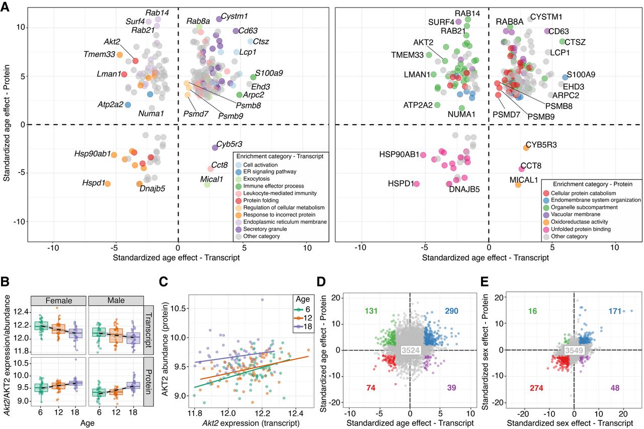 838f03
