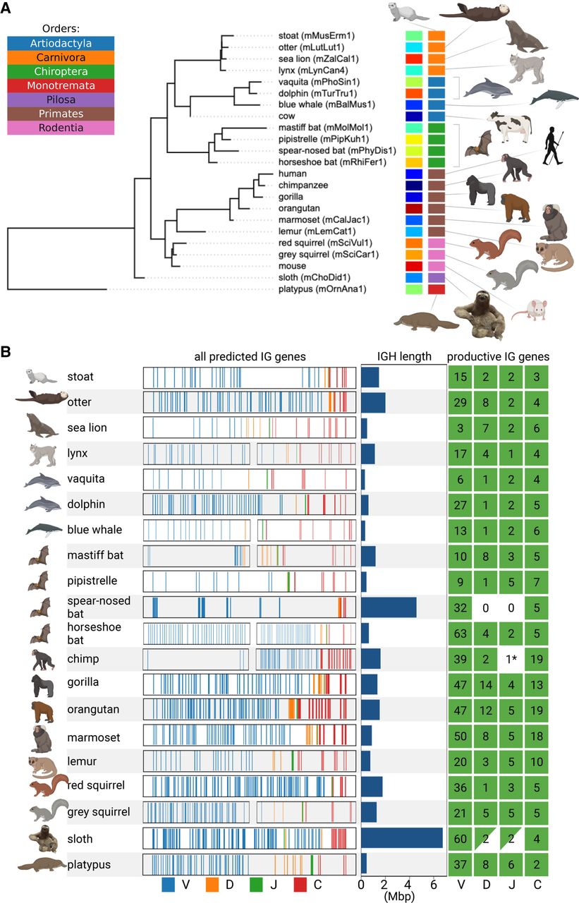 1152f02