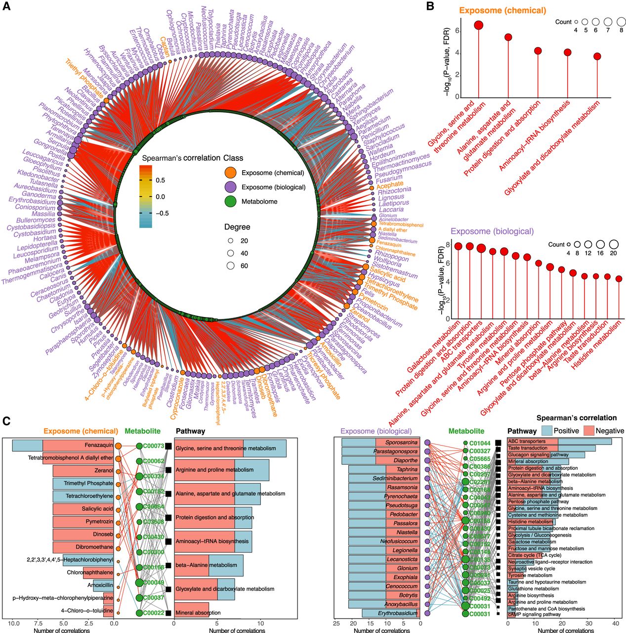 1199f05