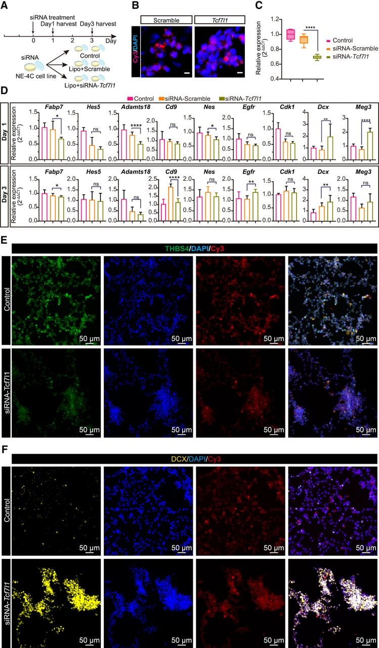 1818f06