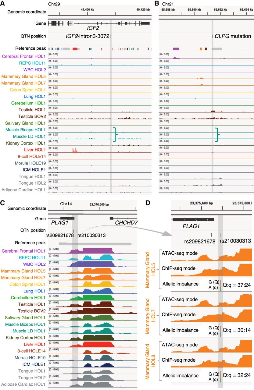 1848f05