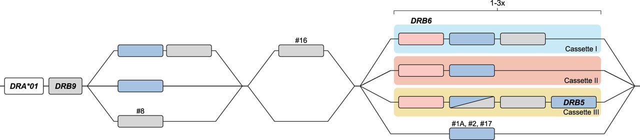 1811f06