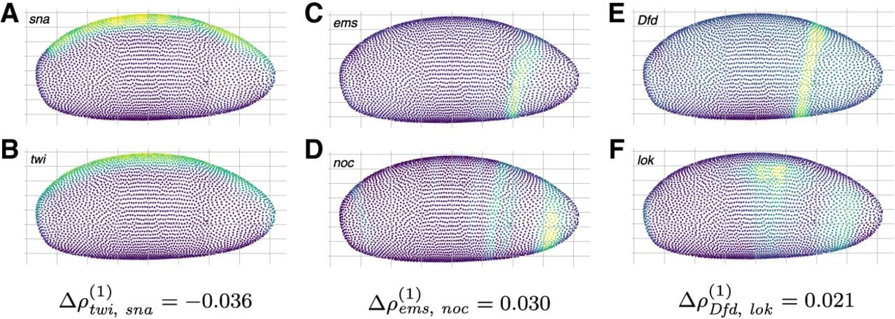 1371f04