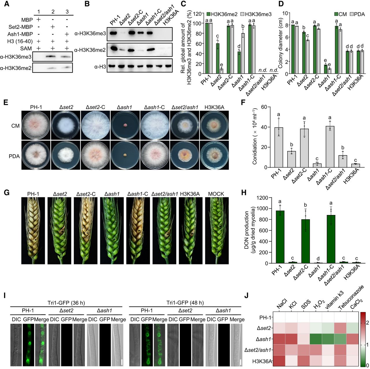2472f03