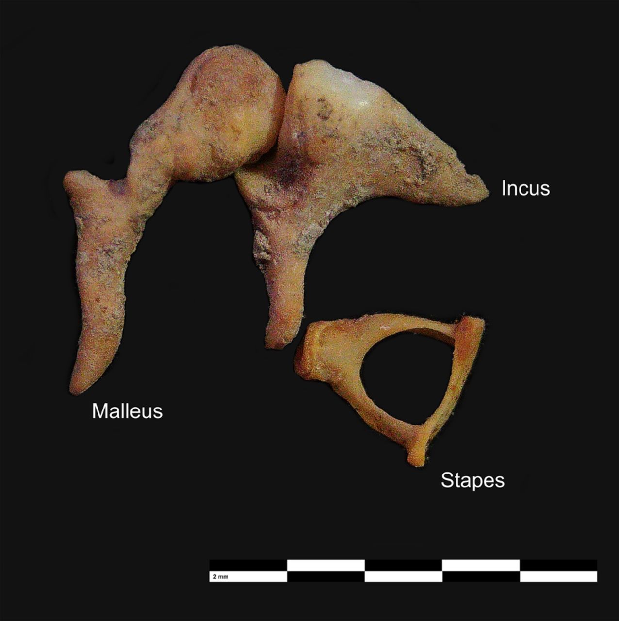 1614f01