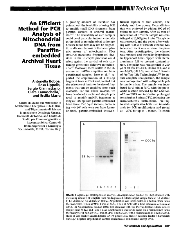 First page of pdf