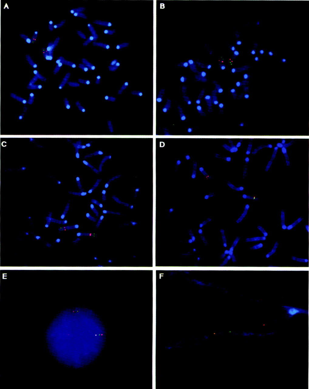 gr